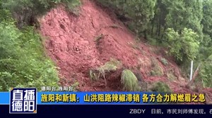旌阳和新镇：山洪阻路辣椒滞销 各方合力解燃眉之急