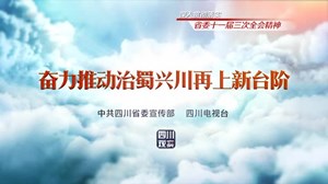 高举旗帜成片