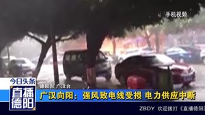 广汉向阳：强风致电线受损 电力供应中断