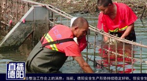 六旬环卫工水中捞垃圾 爱护环境大家都有责