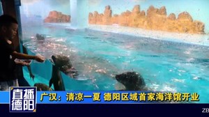 广汉：清凉一夏 德阳区域首家海洋馆开业