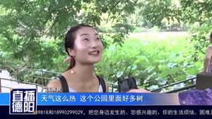 夏日酷暑 荷花争艳