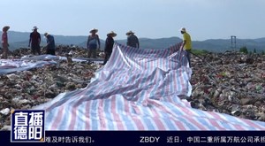 垃圾场覆膜工：高温下的挥汗者