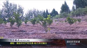 2018年8月7日新闻联播