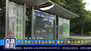 市区多处公交车站台损坏 爱护公物人人有责