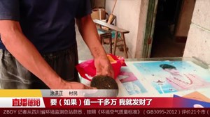 价值千万？中江7旬老农获近三斤重“猪宝”