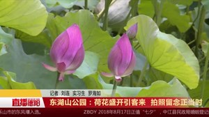 东湖山公园：荷花盛开引客来  拍照留念正当时