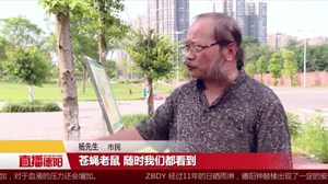 可惜了！旌湖岸边竟然成垃圾场