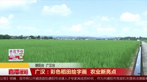 广汉：彩色稻田绘字画  农业观光新亮点