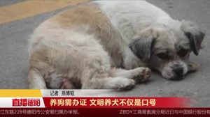 养狗需办证 文明养犬不仅是口号