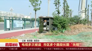 电缆多次被盗  市区多个路段长期“失明”