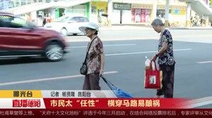 市民太“任性”  横穿马路易酿祸
