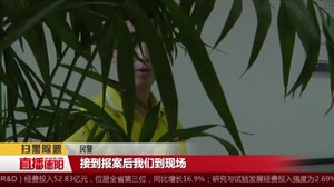 广汉：“平安雒城”网监显神威 助警破案30余起