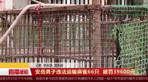 安岳男子违法运输麻雀66只  被罚39600元