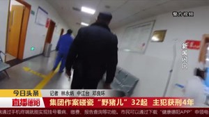 集团作案碰瓷“野猪儿”32起  主犯获刑4年