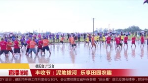 丰收节：泥地拔河  乐享田园农趣