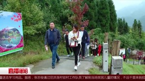 旅游联盟发力 什邡线路火爆