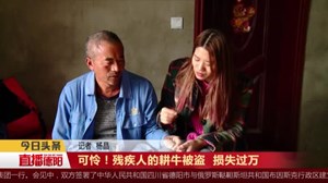 可怜！残疾人的耕牛被盗  损失过万