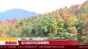 什邡：枫叶红了
