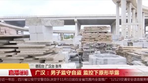 广汉：男子监守自盗 监控下原形毕露