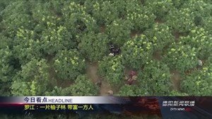 2018年11月6日新闻联播
