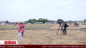  新闻特写：记者的一天