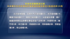 中央第五生态环境保护督察组向我市移交4批信访件10件