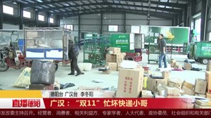 广汉：“双11”忙坏快递小哥