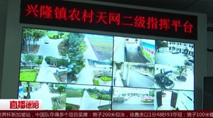 广汉：两男子白天行窃 监控下现原形