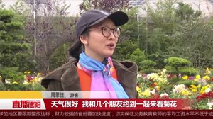 广汉：暖暖初冬  赏菊正当时