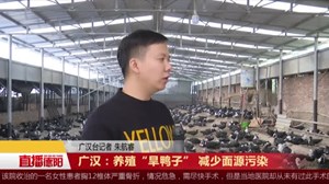 广汉：养殖“旱鸭子” 减少面源污染