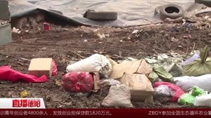 旌阳：销毁 “歪中药饮片” 净化药品环境