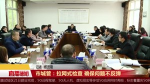 市城管：拉网式检查 确保问题不反弹