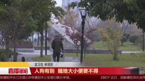 创国文：不文明现象大家看
