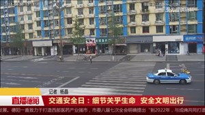 交通安全日：细节关乎生命  安全文明出行