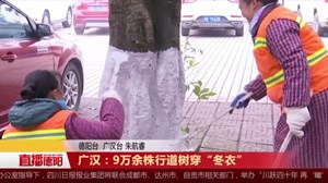 广汉：9万余株行道树穿“冬衣”