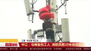 中江：马蜂蜇伤工人  消防员爬20米高塔救援