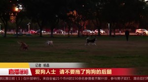 爱狗人士 请不要拖了狗狗的后腿