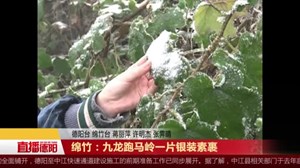 绵竹：九龙跑马岭一片银装素裹