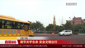 细节关乎生命 安全文明出行