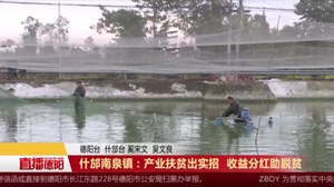 什邡南泉镇：产业扶贫出实招  收益分红助脱贫