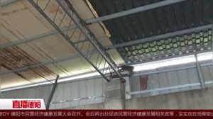 绵竹：猴儿大闹五里墩  村民乐欢了