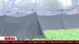 广汉：气温骤降 蔬菜大棚穿上“保暖衣”