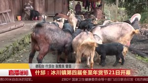 什邡：冰川镇第四届冬至年货节21日开幕
