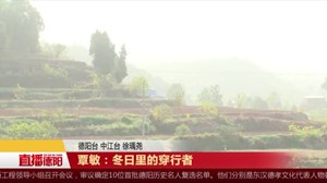 覃敏：冬日里的穿行者