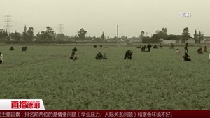 广汉：向阳公社摘牌记 