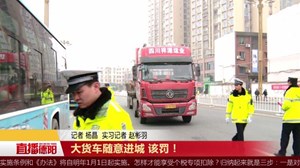 大货车随意进城 该罚！