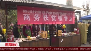 什邡红白：第二届红豆腐文化节拉开帷幕