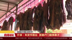 年货节搭台  贫困户门前挣票子