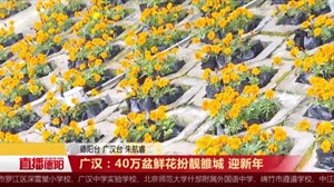 广汉：40万盆鲜花扮靓雒城 迎新年